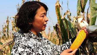 梅園雪:&ldquo;農牧民的期待是我最大的動力&rdquo;