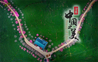 江山如畫，想把春的故事講給你聽