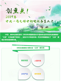 劃重點！2019年中央一號文件中的硬任務(wù)怎么干