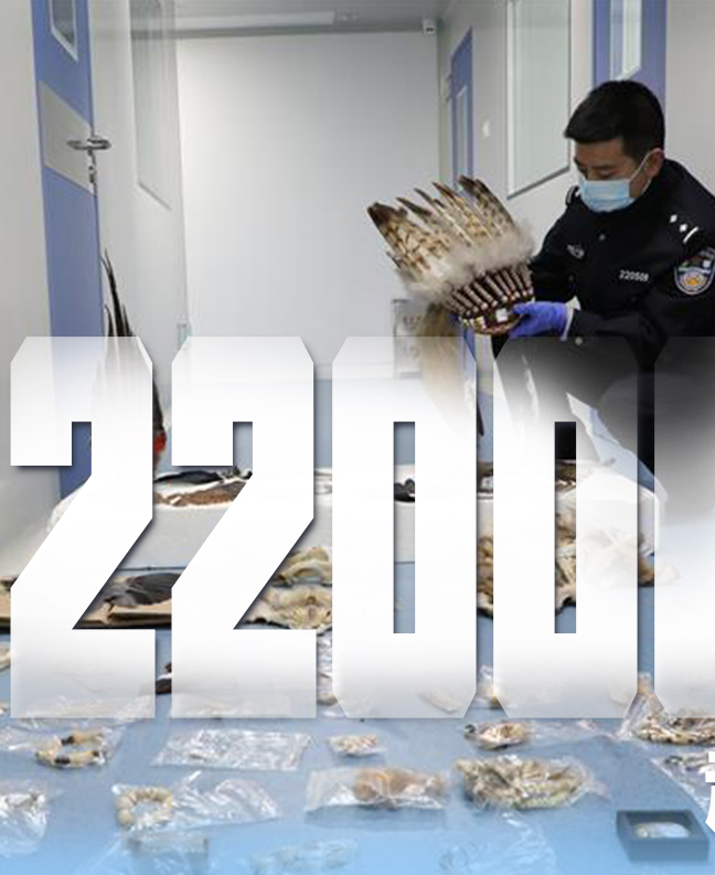 抗疫有&ldquo;法&rdquo;，就是這么給力！