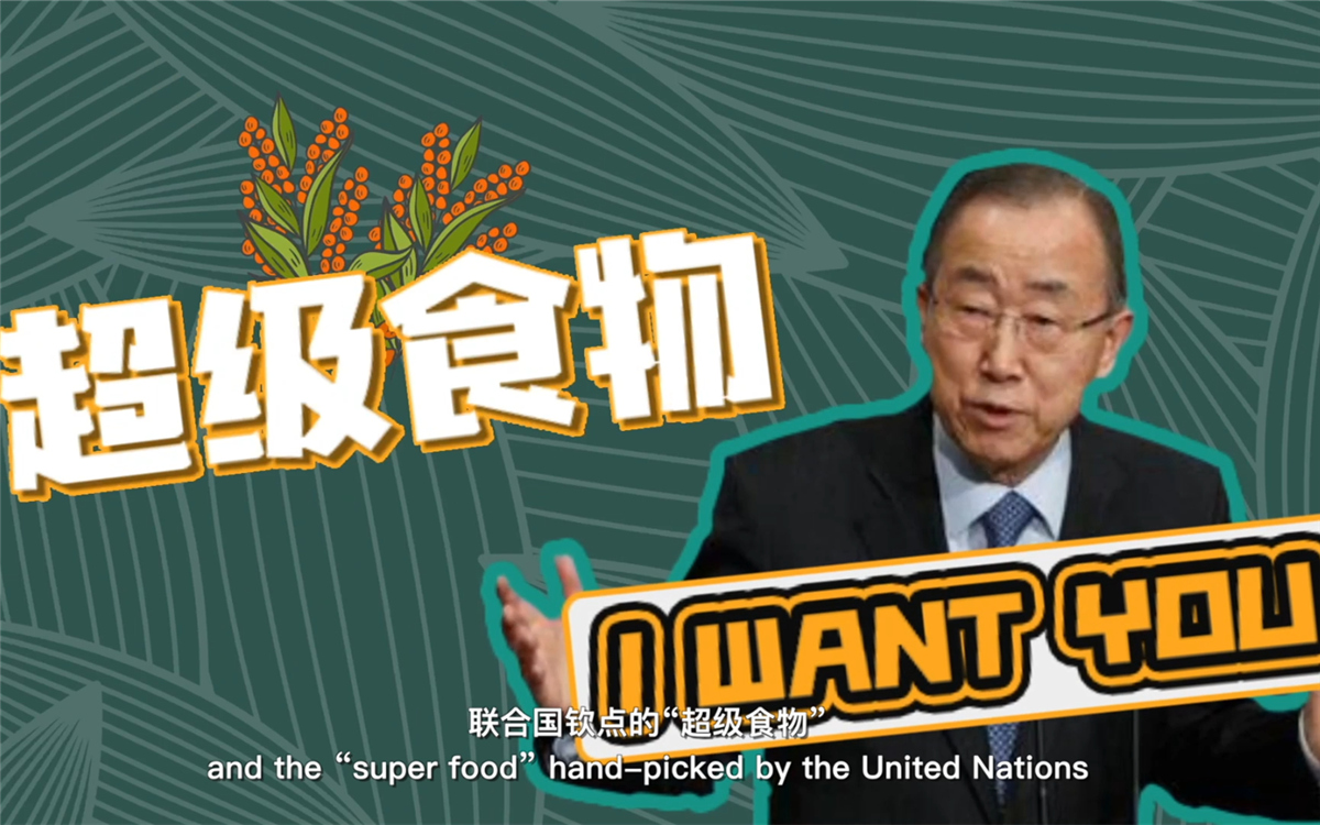 聯合國將藜麥視為抗擊饑餓的&ldquo;超級食物&rdquo;，大力推廣