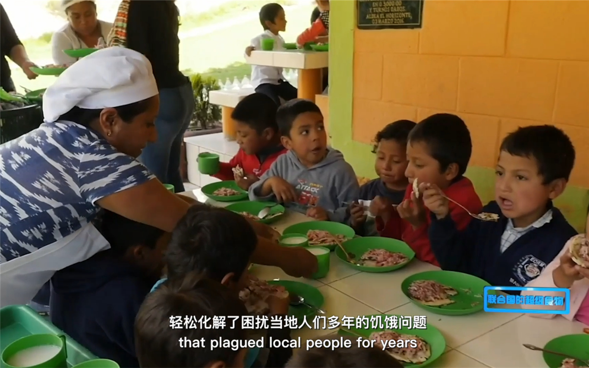 藜麥的蹤跡遍布北美、歐洲、亞洲和非洲多地