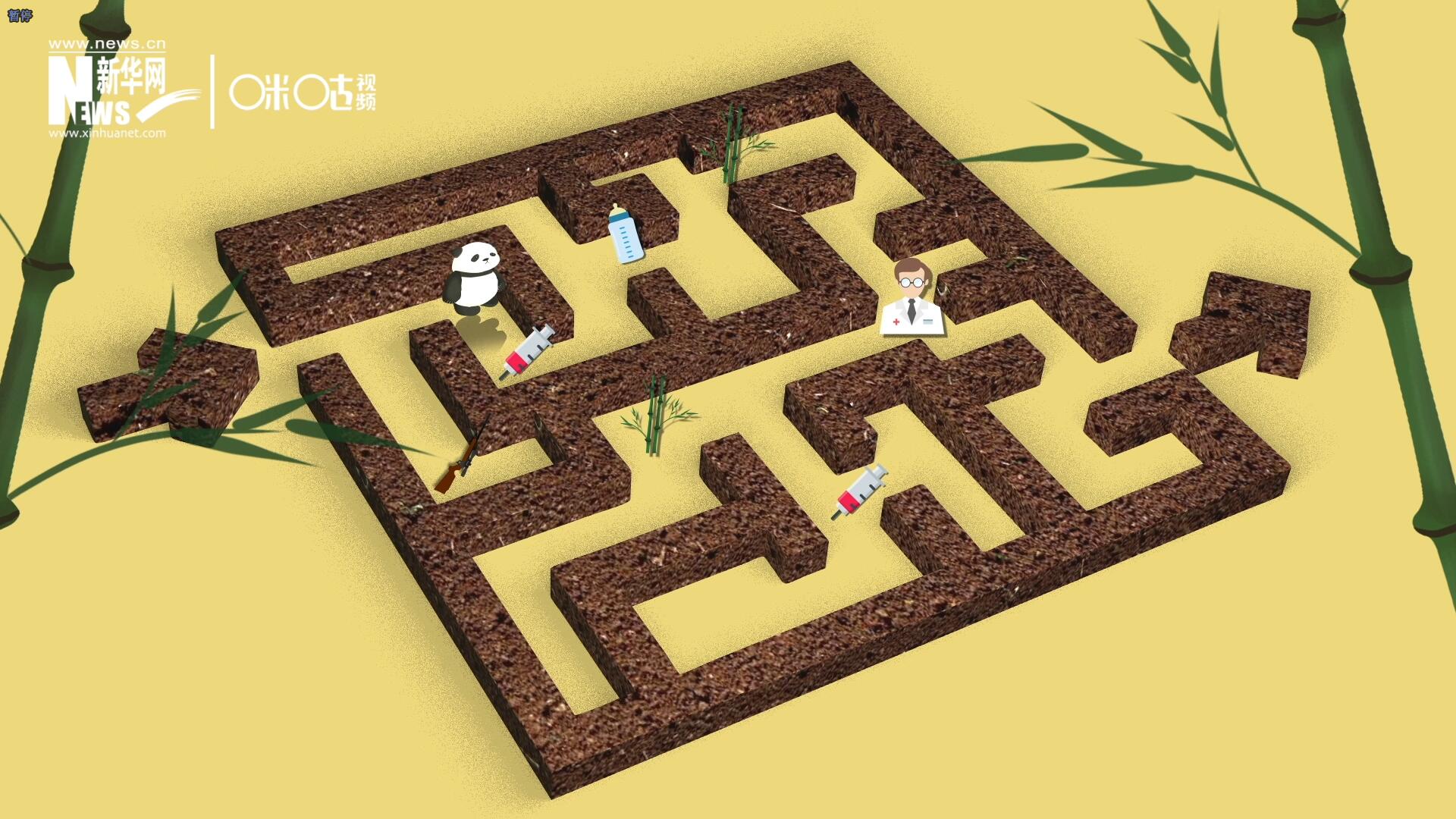 2016年，國際自然保護聯盟將大熊貓的物種瀕危等級，從&ldquo;瀕危&rdquo;下降到了&ldquo;易危&rdquo;。