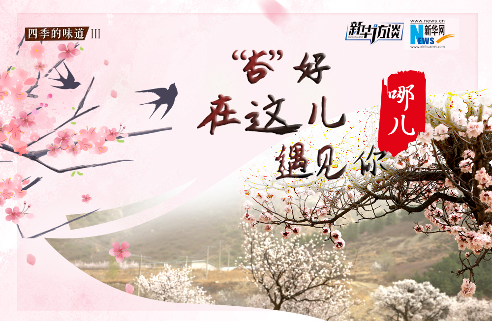 哪兒？&ldquo;杏&rdquo;好在這兒遇見你！