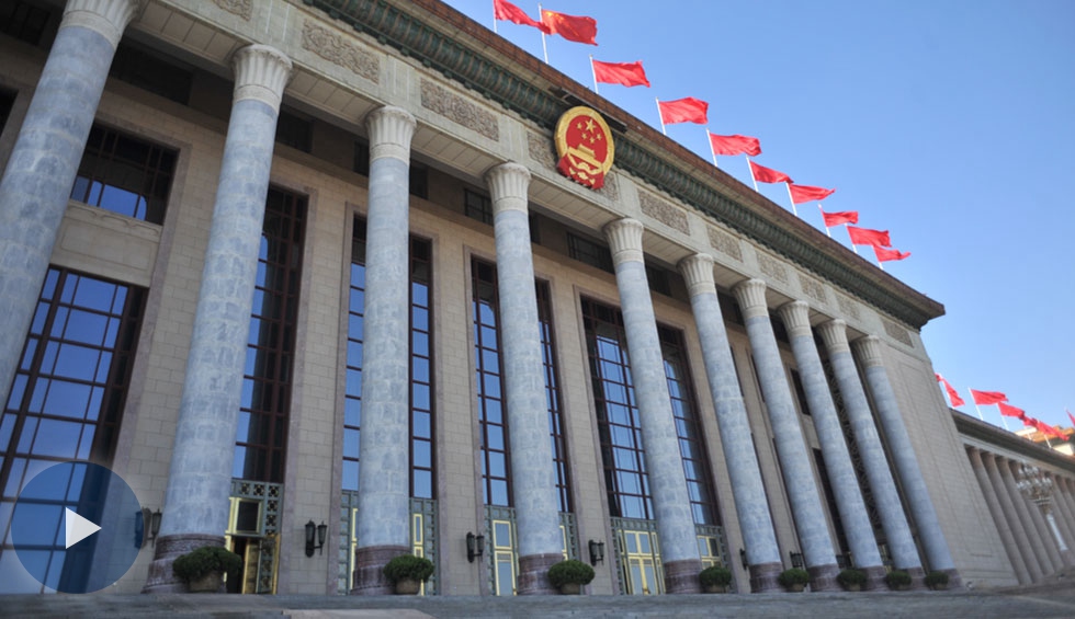 全國政協十三屆一次會議第三場&ldquo;委員通道&rdquo;