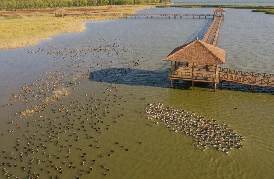 新華微評(píng)&middot;學(xué)習(xí)路上：生態(tài)興，百業(yè)旺
