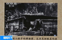 &ldquo;誓不臣倭&rdquo;臺灣同胞抗日百折不撓