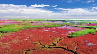 生態中國&middot;天遼地寧紅灘舞