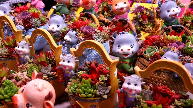 就地過年 你準備好了嗎？