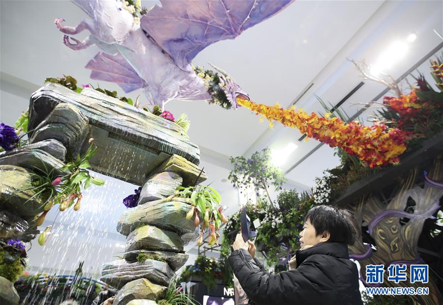 （國際）（3）紐約：&ldquo;春日童話&rdquo;花展亮相梅西百貨