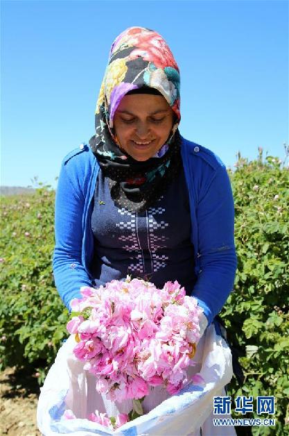 (國際·圖文互動)通訊:土耳其“玫瑰經濟”看好中國市場