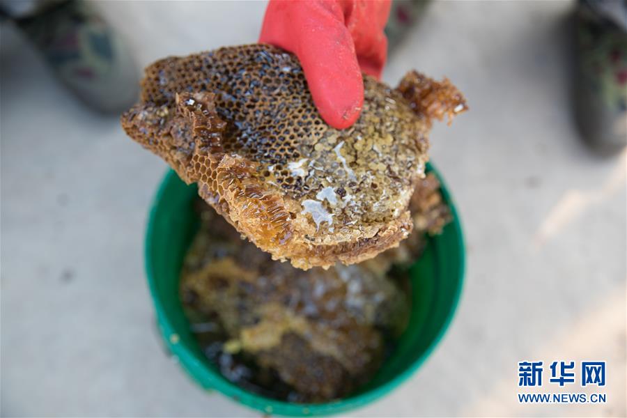 （國際&middot;聚焦進口博覽會&middot;圖文互動）（7）通訊：贊比亞蜂蜜企業(yè)欲借進博會開拓中國市場