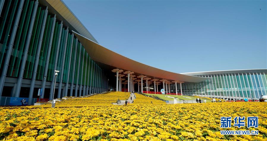 （新華全媒頭條&middot;聚焦進口博覽會&middot;圖文互動）（1）在開放中匯聚強勁動能&mdash;&mdash;從首屆進博會觀察全球創新發展走向