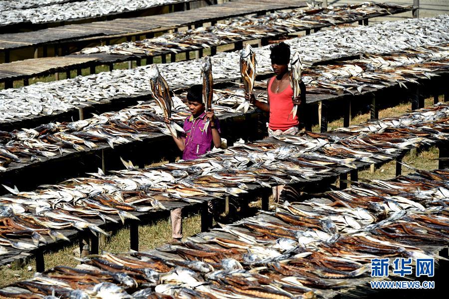 （國際&middot;一周看天下）曬魚