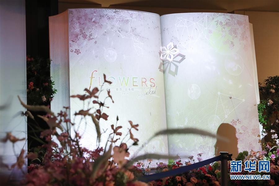 （國際）（6）日本東京：寒冬時節賞&ldquo;繁花&rdquo; 