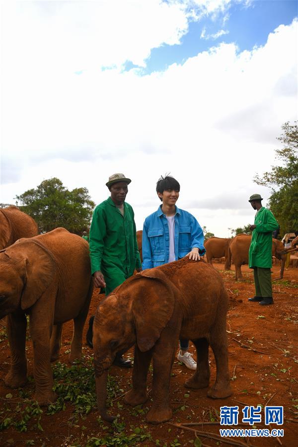 （國際&middot;圖文互動）（3）專訪：環保要以身作則 從身邊小事做起&mdash;&mdash;訪聯合國環境署親善大使王俊凱