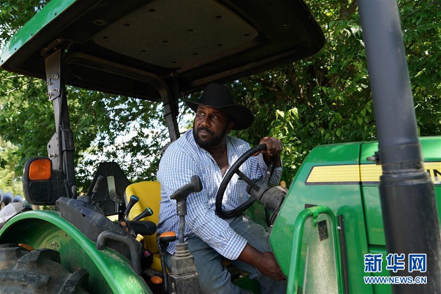 (國際·圖文互動)(3)特寫:播種進入倒計時 美國豆農焦慮加劇