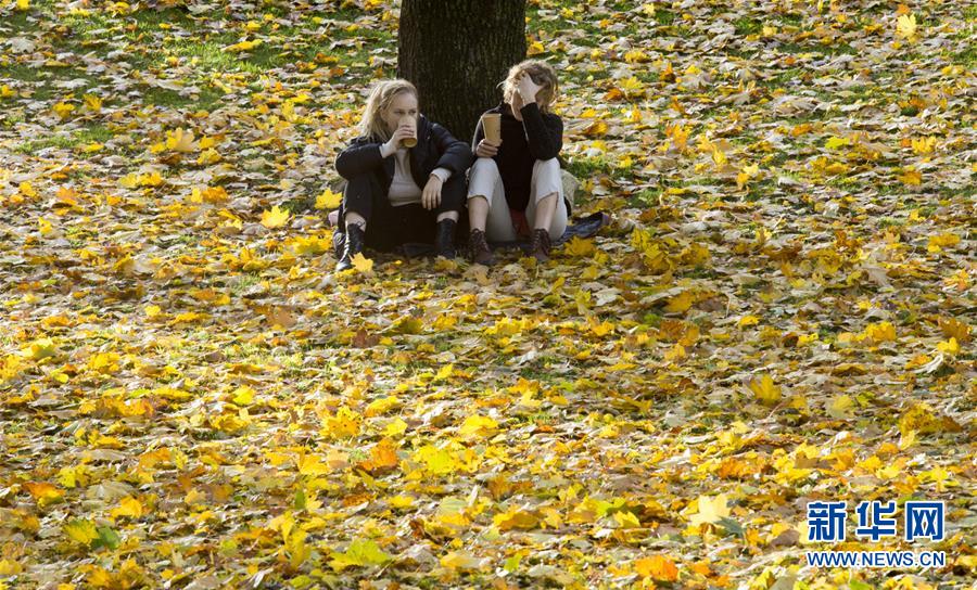 （國(guó)際&middot;年終報(bào)道）（8）&ldquo;回味&rdquo;2019