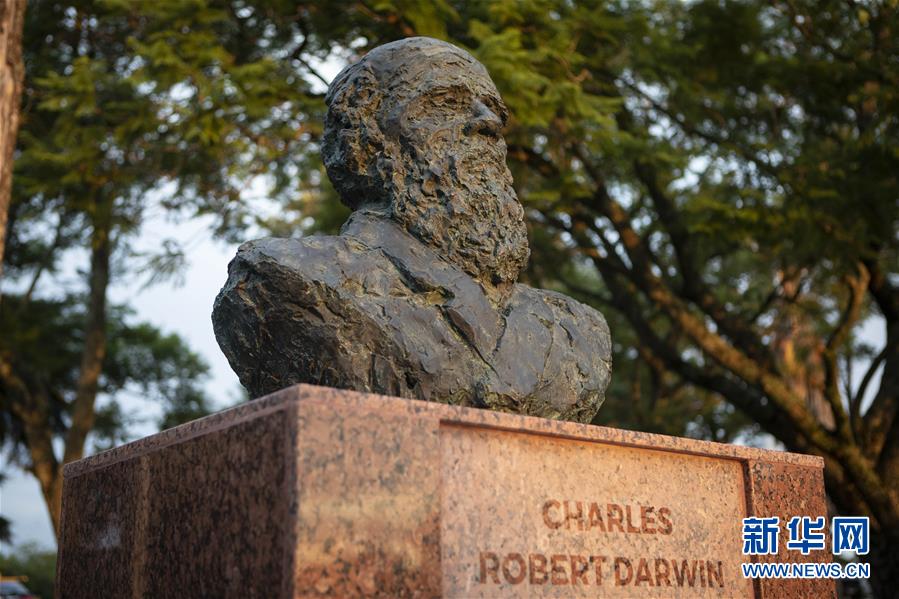 (國際·圖文互動)(1)通訊:一位中國雕塑家與拉美的不解情緣