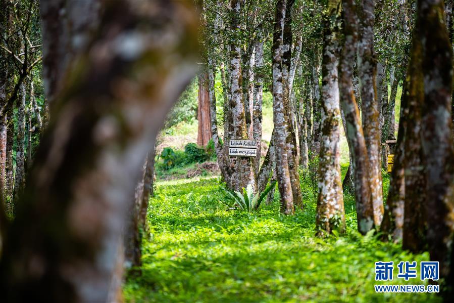 （第三屆進博會&middot;圖文互動）（3）專訪：進博會提供了一個共享中國發展機遇的平臺