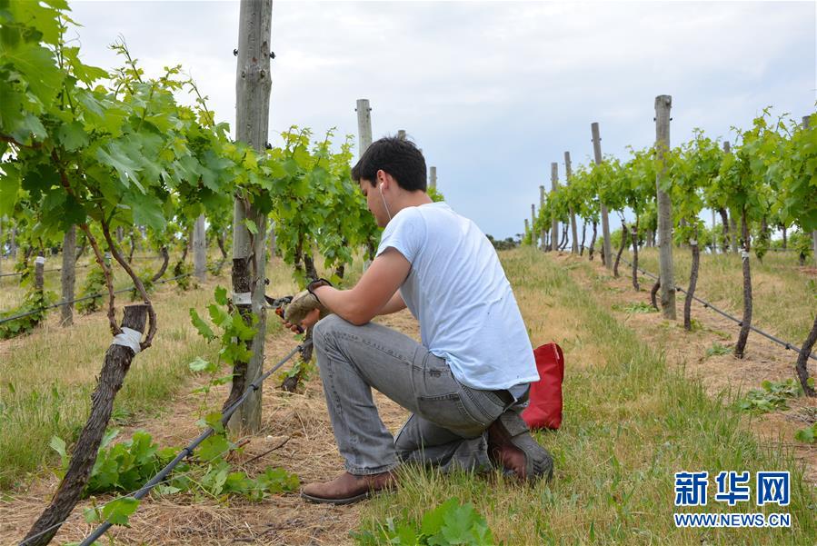 （第三屆進博會&middot;圖文互動）（7）專訪：進博會是了解中國市場的好機會&mdash;&mdash;訪澳大利亞諾瓦維塔葡萄酒集團創始人卡臣
