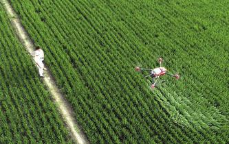 江蘇海安：&ldquo;智慧農業&rdquo;促鄉村振興