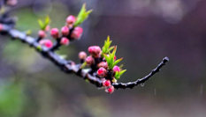 隨心而行，走走停停始終精彩。