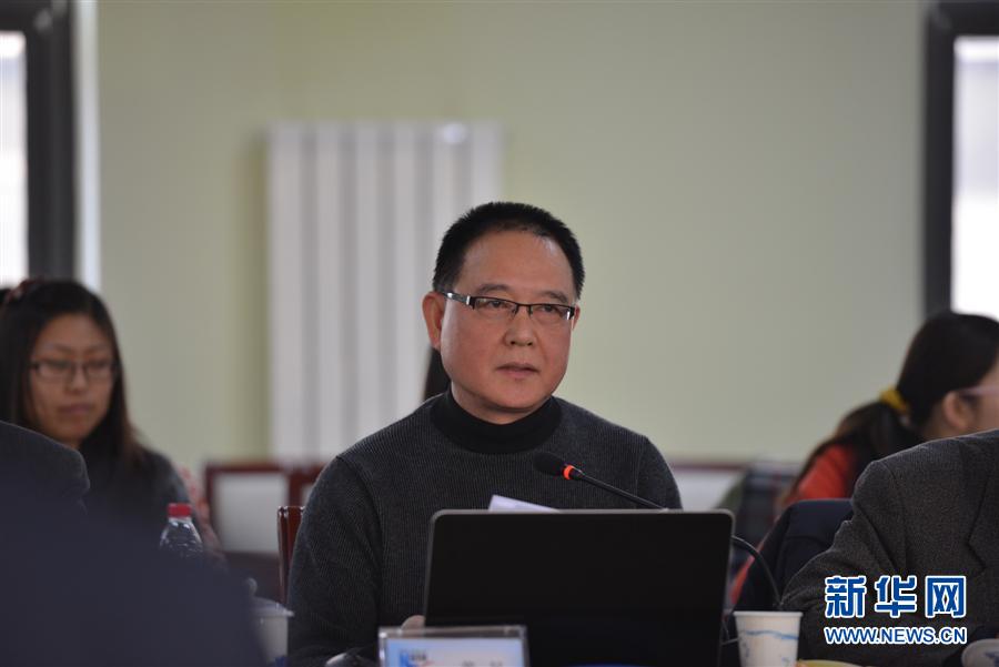 黃星在新華網2012&ldquo;縱論天下&rdquo;國際問題研討會上發言