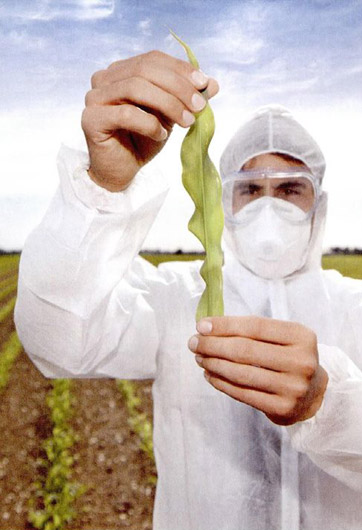 轉(zhuǎn)基因&ldquo;轉(zhuǎn)&rdquo;的是什么？