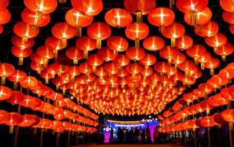 賞花燈 度春節